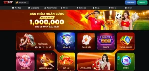 777bet chất lượng – Nhà cái uy tín hàng đầu về thể thao, casino, nổ hũ